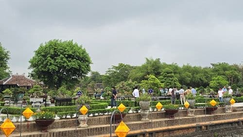 Triển lãm phong lan, cây kiểng và đá cảnh tại khu vực Đại Nội, minh chứng cho sự kết hợp giữa di sản và các hoạt động văn hóa đương đại.