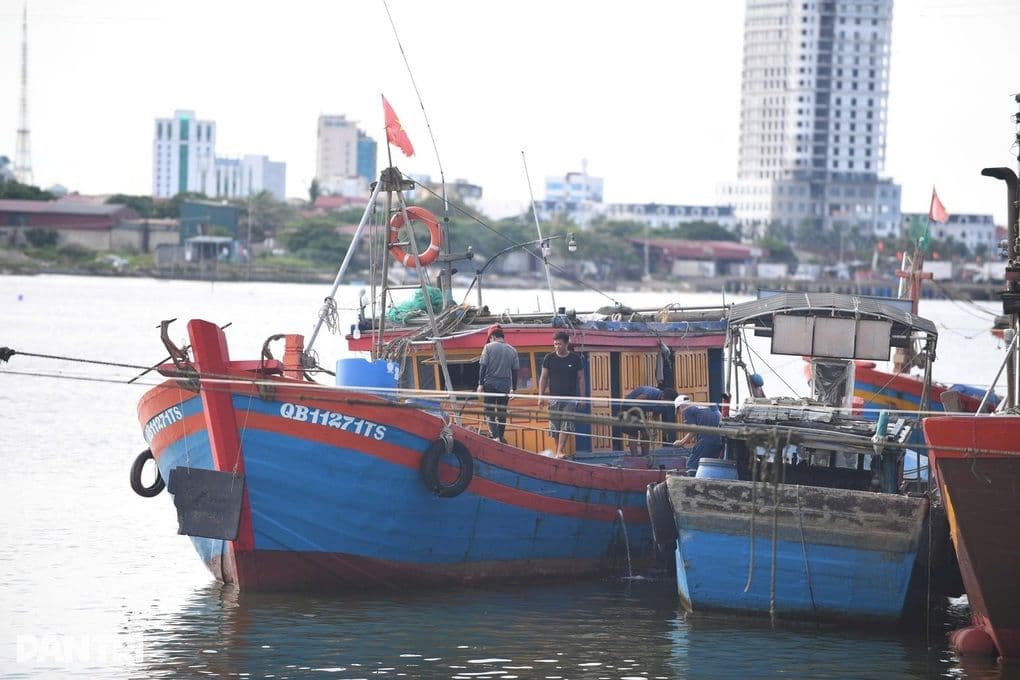 Tàu thuyền neo đậu an toàn tại cảng, thể hiện nỗ lực ứng phó và sơ tán ngư dân.