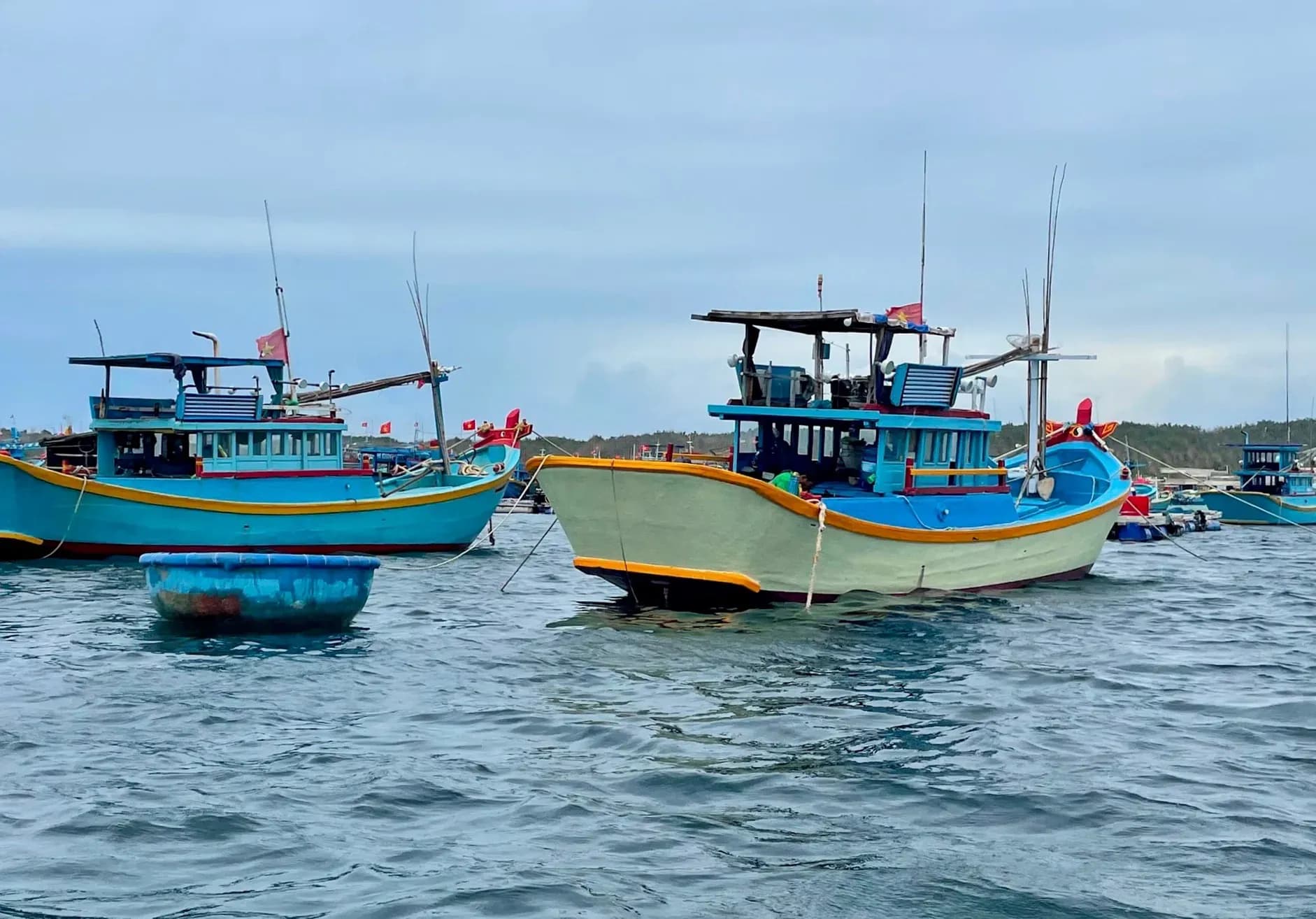 Tàu thuyền neo đậu tránh bão trên biển, thể hiện công tác ứng phó và chuẩn bị của người dân trước nguy cơ thiên tai.